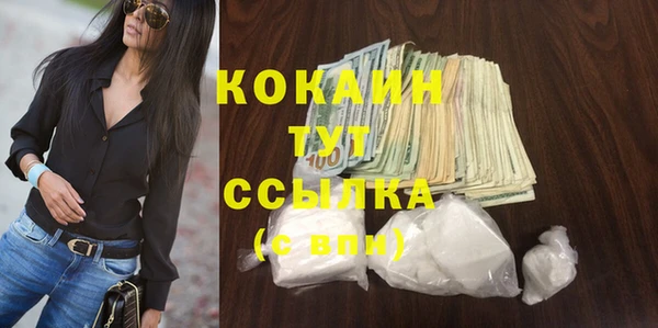 spice Алзамай