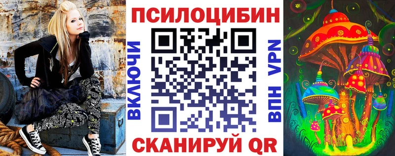 ОМГ ОМГ ONION  Брянск  Псилоцибиновые грибы мицелий 