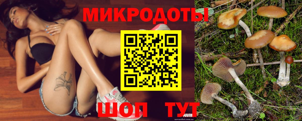 Псилоцибиновые грибы Psilocybine cubensis Брянск