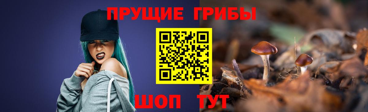 Псилоцибиновые грибы мицелий  Вход с VPN  Брянск 